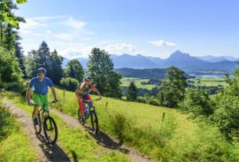 Radfahren kurbelt die Myokin-Ausschüttung an